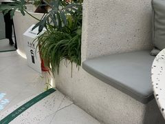 -大树餐厅(朝阳大悦城店)