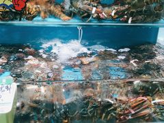 -港畔赶海蒸汽海鲜烧烤自助(仙螺岛店)