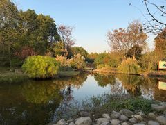 -上海浦江郊野公园-5号停车场