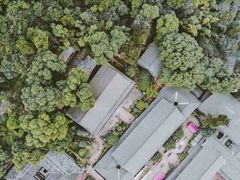 -峨眉山报国寺