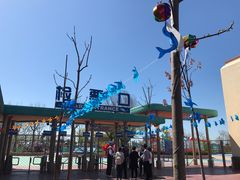 -秦皇岛乐岛海洋王国