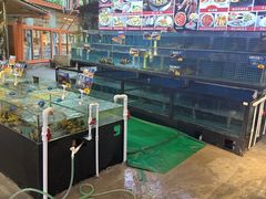 -陶缘一号·四季缘·老字号顺德菜·户外婚礼家宴(西滘店)