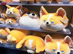 -KKV(深圳宏发大仟里店)