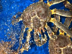 -盒马鲜生(顺义店)