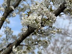 -保利国际影城杭州中南店