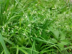 -长春观斋补堂素菜馆