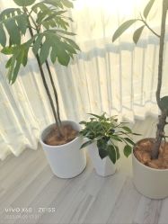 -HEYAN荷妍专业脱毛连锁机构