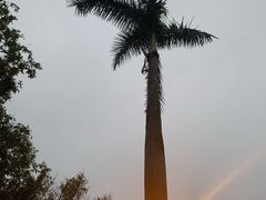 -荔湾湖公园
