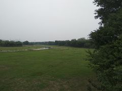 -北京麋鹿生态实验中心