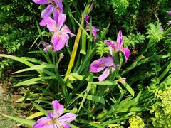 -杭州城北体育公园