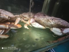 -兄弟爬爬虾(北京路店)