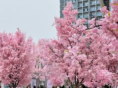 -首开·龙湖成都西宸天街