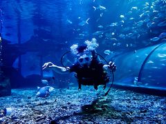 -太平洋海底世界