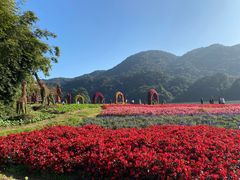 -广州市石门国家森林公园