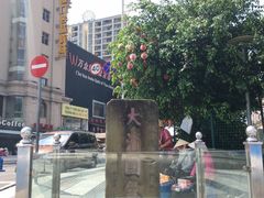 -东兴口岸-中越友谊大桥