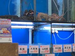 -华峰食馆(氹仔店)