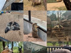 -鄂尔多斯野生动物园