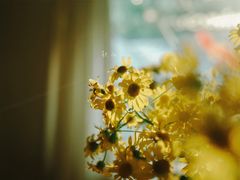 -竹子咖啡bamboo coffee
