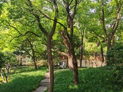 -徐家汇源景区-衡山公园