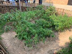 -韶山毛泽东同志故居