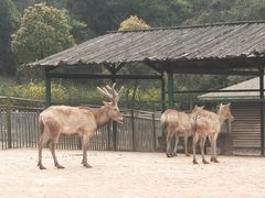 -无锡动物园·太湖欢乐园