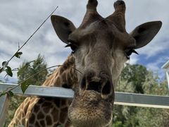 -水上乐园·欢乐世界