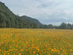 -花溪公园