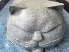 -VT101维多利广场