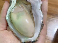 鲜活海蛎子-鲜小岛·铜锅涮肉
