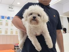 -申普宠物医院·眼科·心内科·影像科(普陀分院)