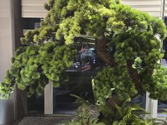 -苏淮景·苏闽融创菜·海鲜(原空港井河轩店)