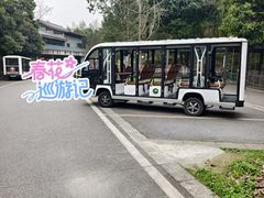 -都江堰中华大熊猫苑
