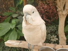 -南宫五洲植物乐园