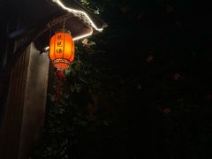 -琵琶语评弹茶馆(苏州平江路店)