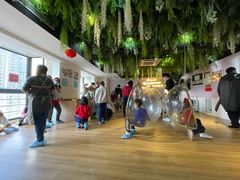 -Husky Go! 哈士奇体验馆·宠物咖啡厅狗咖