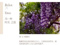 -嘉定紫藤园