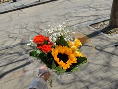 -海底捞火锅(吾悦广场店)