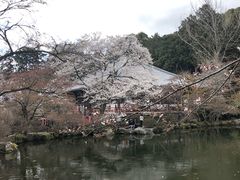 -醍醐寺
