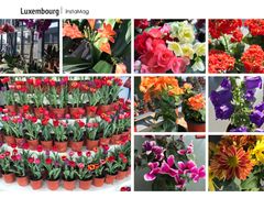 -南通洲际绿博园