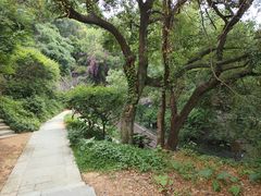 -金鸡山公园