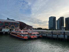-招商蛇口邮轮母港(观光客运)
