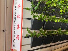 -新加坡佛牙寺龙华院
