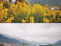 -婺源风景区
