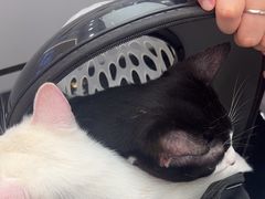 -瑞派康怡24h宠物医院·犬猫医疗中心·微创绝育(瑞景分院)