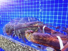 -尊立方海鲜酒店·生日宴·家宴