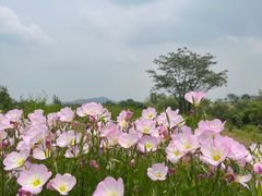 -红山体育度假乐园