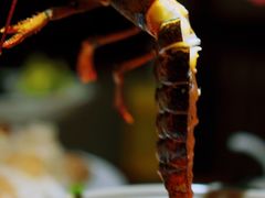 -揽季锅物会.福建黄鱼.海鲜姿造(五四路店)