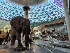 -陕西自然博物馆