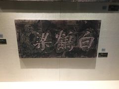 -白鹤梁水下博物馆