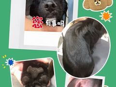 -Oh My Dog宠物沙龙(伊珊娜皮毛护理店)